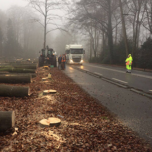 boomverzorging twente