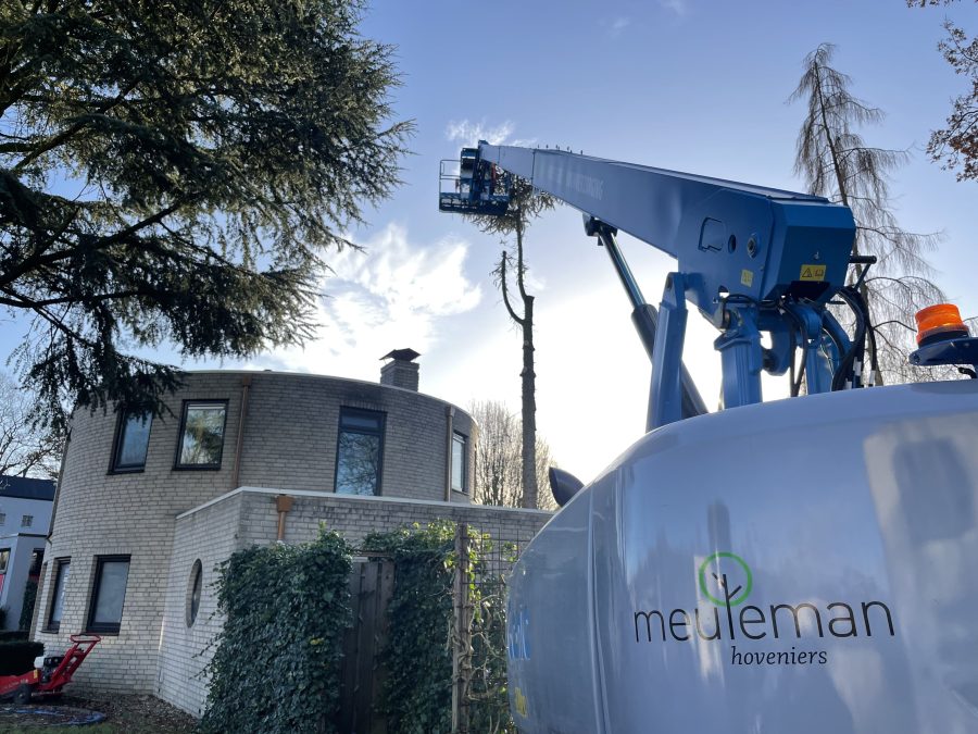 Meuleman Hoveniers uit Enschede Twente boomverzorging tuinonderhoud