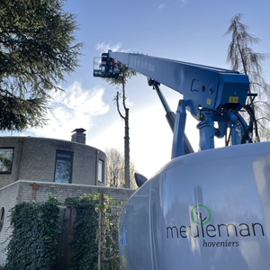 Verlichting in de tuin aanleggen hovenier enschede